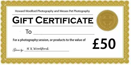 sample gift certificate for Â£50